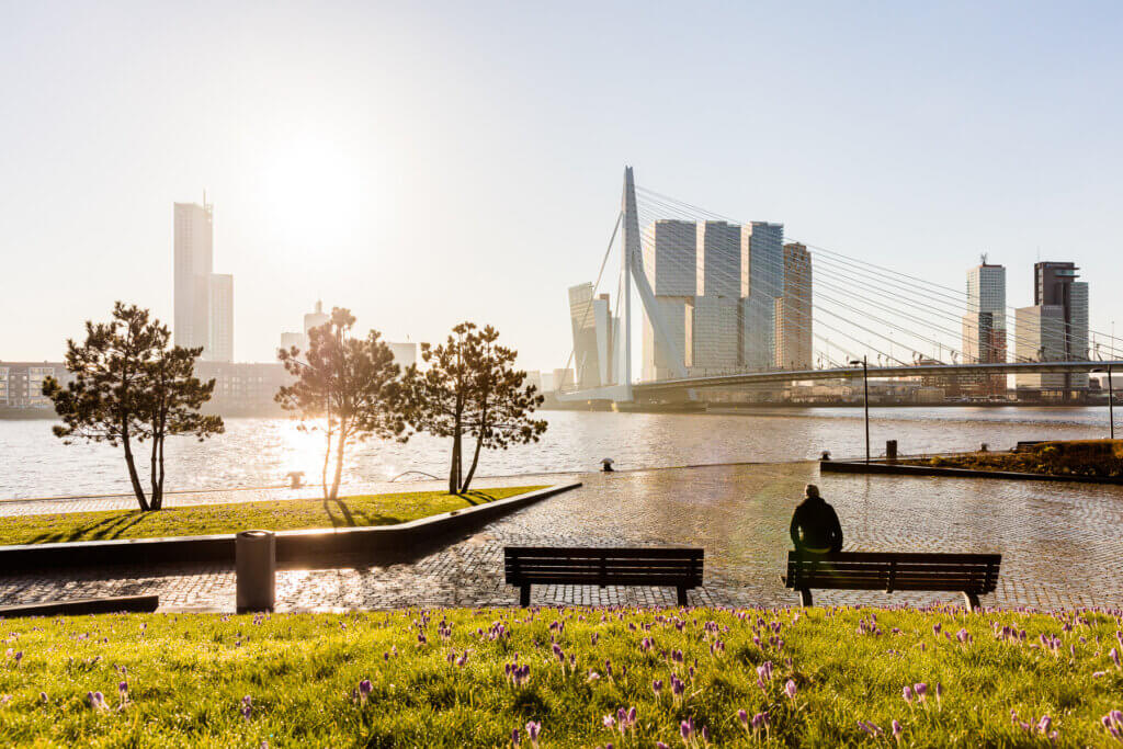 View of Rotterdam